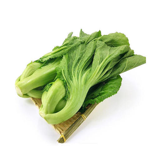 水东芥菜